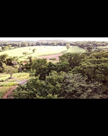 Imagem Chácara à Venda, 29.000 m² em área Rural De Luziânia - Luziânia Imagem Chácara à Venda, 29.000 m² em área Rural De Luziânia - Luziânia