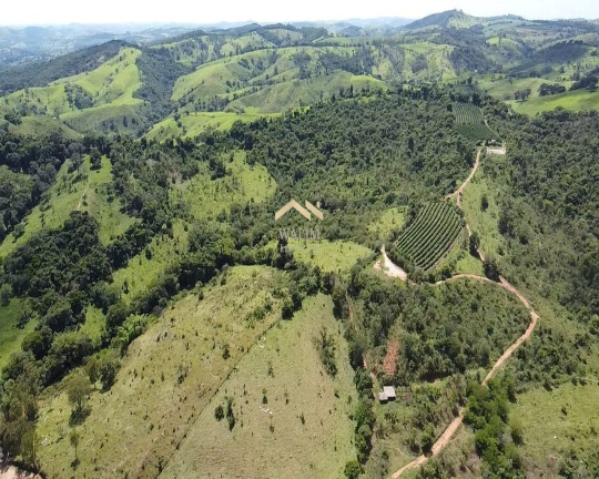 Imagem Imóvel com 3 Quartos à Venda, 55 m² em Brasilândia - Carmópolis De Minas Imagem Imóvel com 3 Quartos à Venda, 55 m² em Brasilândia - Carmópolis De Minas