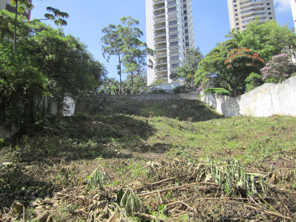 Imagem Terreno à Venda, 2.442 m² em Vila Suzana - São Paulo Imagem Terreno à Venda, 2.442 m² em Vila Suzana - São Paulo