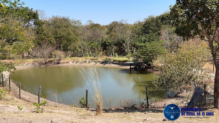 Imagem Chácara à Venda, 15 m² em Zona Rural - Faina Imagem Chácara à Venda, 15 m² em Zona Rural - Faina