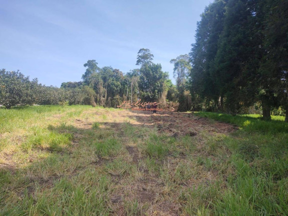 Imagem Chácara à Venda, 2.000 m² Imagem Chácara à Venda, 2.000 m²