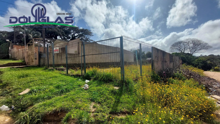 Terreno à Venda, 429 m² em São Lucas - Viamão