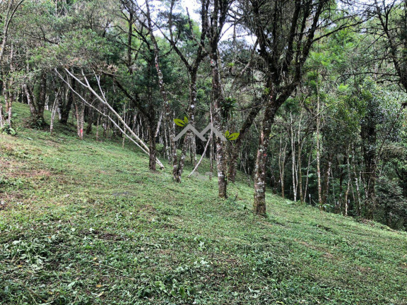 Imagem Terreno à Venda, 3 m² em Vila Inglesa - Campos Do Jordão Imagem Terreno à Venda, 3 m² em Vila Inglesa - Campos Do Jordão