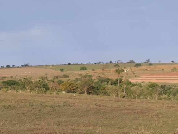 Imagem Fazenda à Venda, 726 m² em Vila Tazitsu - Presidente Prudente Imagem Fazenda à Venda, 726 m² em Vila Tazitsu - Presidente Prudente