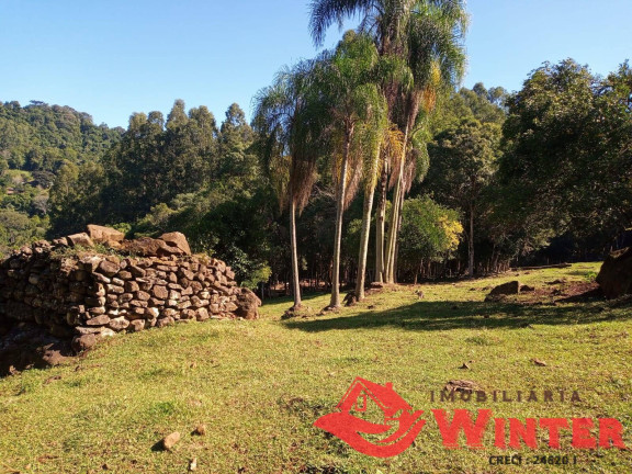 Imagem Chácara à Venda, em Canto Dewes - Alto Feliz Imagem Chácara à Venda, em Canto Dewes - Alto Feliz