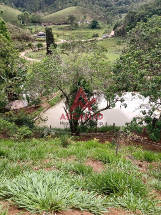 Imagem Chácara com 3 Quartos à Venda, 180 m² em Palmeiras - Natividade Da Serra