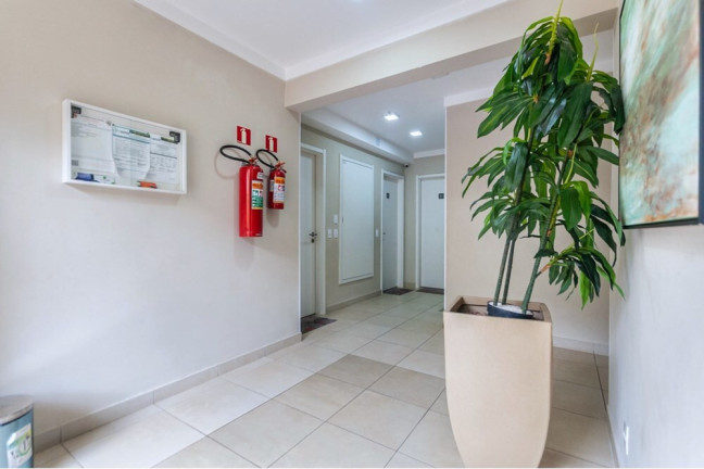 Imagem Imóvel com 2 Quartos à Venda, 40 m² em Vila Zat - São Paulo Imagem Imóvel com 2 Quartos à Venda, 40 m² em Vila Zat - São Paulo