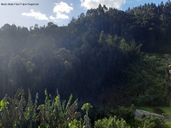 Imagem Casa com 2 Quartos à Venda, 64 m² em Recanto Dos Plátanos - Nova Petrópolis Imagem Casa com 2 Quartos à Venda, 64 m² em Recanto Dos Plátanos - Nova Petrópolis