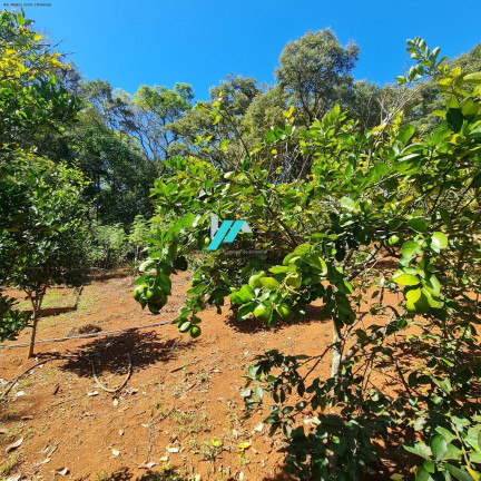 Imagem Fazenda à Venda, 12.000 m² em Centro - Itatiaiuçu Imagem Fazenda à Venda, 12.000 m² em Centro - Itatiaiuçu