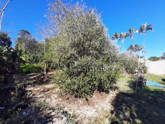 Imagem Chácara à Venda, 2.000 m² em Terras De Itaici - Indaiatuba Imagem Chácara à Venda, 2.000 m² em Terras De Itaici - Indaiatuba