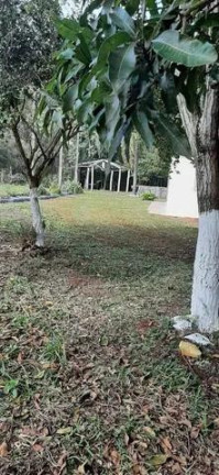 Imagem Chácara com 3 Quartos à Venda, 31.000 m² em Centro - Tamarana Imagem Chácara com 3 Quartos à Venda, 31.000 m² em Centro - Tamarana