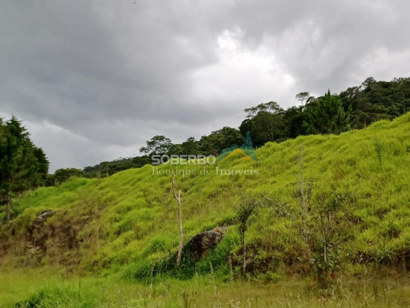 Imagem Imóvel com 4 Quartos à Venda, 123.000 m² em Córrego Das Pedras - Teresópolis Imagem Imóvel com 4 Quartos à Venda, 123.000 m² em Córrego Das Pedras - Teresópolis