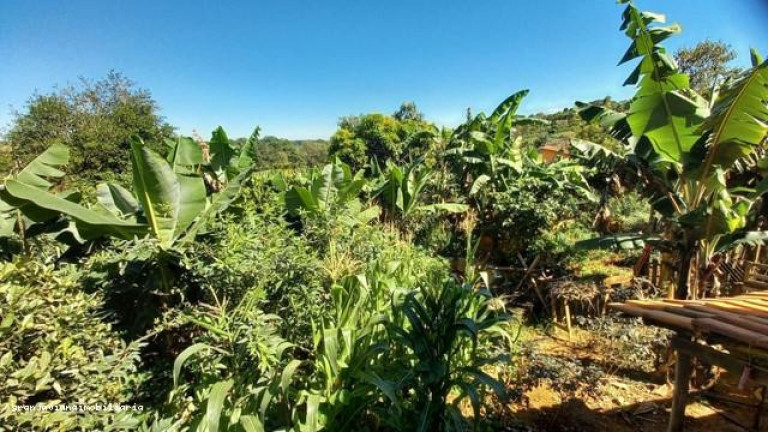 Imagem Chácara à Venda, em Bairro Do Verava - Ibiúna Imagem Chácara à Venda, em Bairro Do Verava - Ibiúna