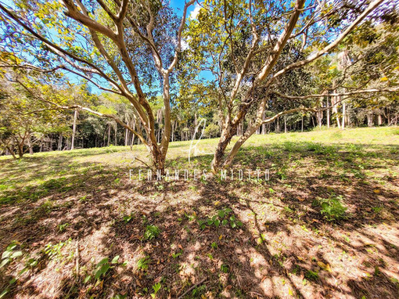 Imagem Chácara à Venda, 120.000 m² em Chácaras Do Rosário - Cajamar