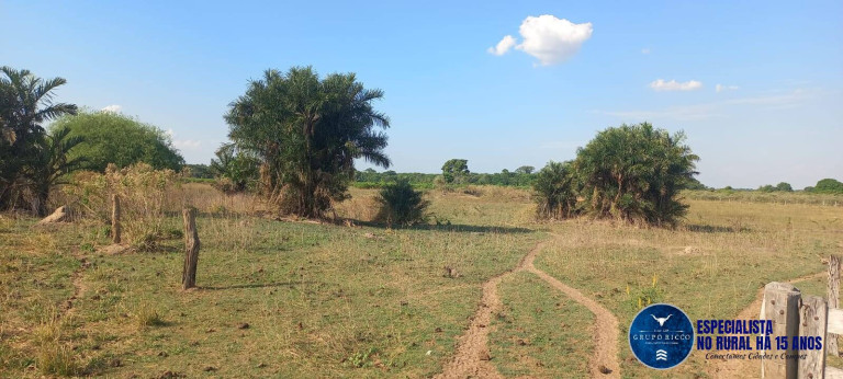 Imagem Fazenda à Venda, 300 m² em Zona Rural - Barra Do Garças Imagem Fazenda à Venda, 300 m² em Zona Rural - Barra Do Garças