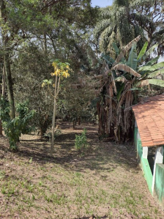 Imagem Chácara com 8 Quartos à Venda, 1.000 m² em Parque Piratininga - Itaquaquecetuba