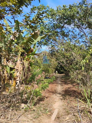 Imagem Imóvel com 3 Quartos à Venda, 1.300 m² em Zona Rural - Piracema Imagem Imóvel com 3 Quartos à Venda, 1.300 m² em Zona Rural - Piracema