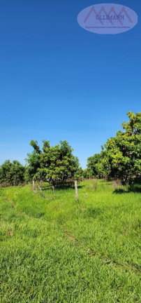 Imagem Terreno à Venda, 76.700 m² em Aparecida  D`oeste - Aparecida D`oeste