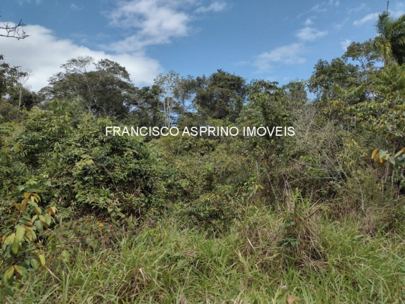 Imagem Imóvel à Venda, 2 m² em Serra Grande - Uruçuca Imagem Imóvel à Venda, 2 m² em Serra Grande - Uruçuca