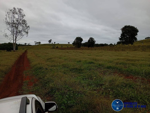 Imagem Fazenda à Venda, 33 m² em Zona Rural - Caiapônia Imagem Fazenda à Venda, 33 m² em Zona Rural - Caiapônia