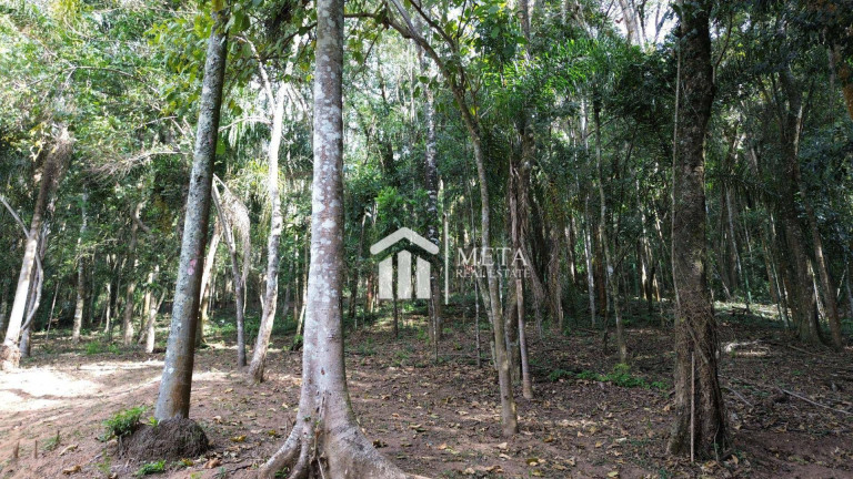 Imagem Imóvel com 4 Quartos à Venda, 417 m² em Serra Da Cantareira - Mairiporã Imagem Imóvel com 4 Quartos à Venda, 417 m² em Serra Da Cantareira - Mairiporã