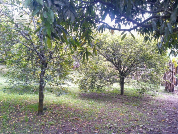 Imagem Chácara com 2 Quartos à Venda, 1.100 m² em São Roque Imagem Chácara com 2 Quartos à Venda, 1.100 m² em São Roque