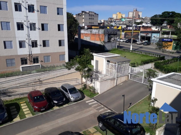 Imagem Apartamento com 3 Quartos à Venda, 50 m² em Jardim Marilu - São Paulo Imagem Apartamento com 3 Quartos à Venda, 50 m² em Jardim Marilu - São Paulo