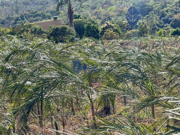 Imagem Terreno à Venda, 20 m² em Zona Rural - Corumbá De Goiás Imagem Terreno à Venda, 20 m² em Zona Rural - Corumbá De Goiás