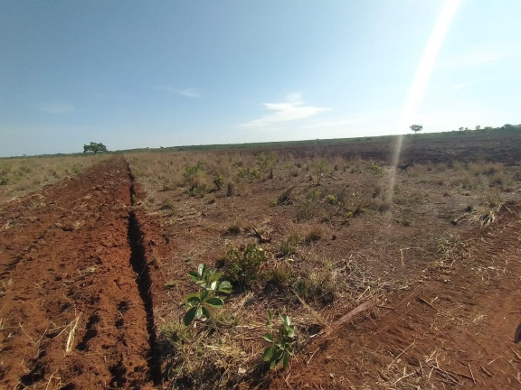 Imagem Imóvel à Venda, 314 m² em área Rural De Querência - Querência