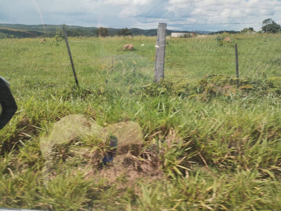 Imagem Fazenda à Venda, 1.000 m² em Cuiabá Imagem Fazenda à Venda, 1.000 m² em Cuiabá