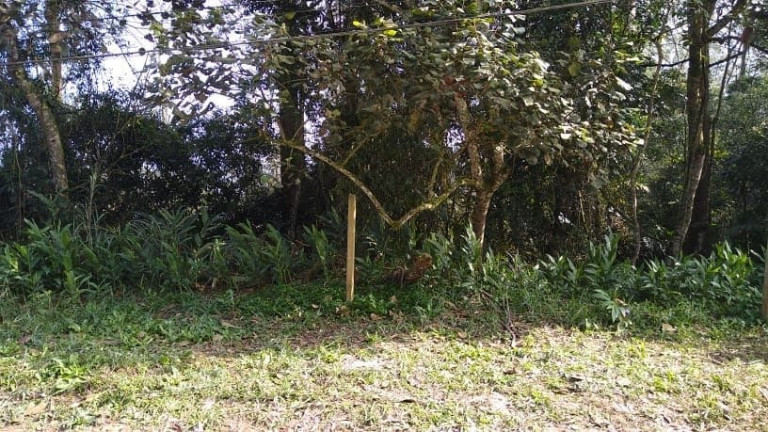 Imagem Terreno à Venda, 450 m² em Santa Luzia - Ribeirão Pires Imagem Terreno à Venda, 450 m² em Santa Luzia - Ribeirão Pires