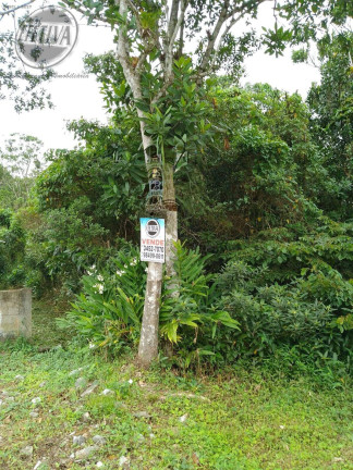 Imagem Terreno à Venda, 374 m² em Solymar - Matinhos Imagem Terreno à Venda, 374 m² em Solymar - Matinhos