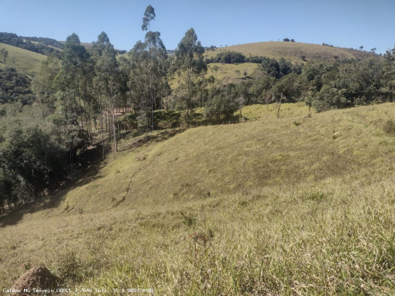 Imagem Chácara à Venda, 44.800 m² em Santo Antônio De Caldas - Caldas Imagem Chácara à Venda, 44.800 m² em Santo Antônio De Caldas - Caldas