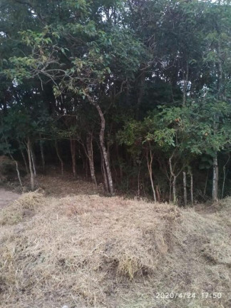 Imagem Terreno à Venda, em Centro - Mairiporã Imagem Terreno à Venda, em Centro - Mairiporã