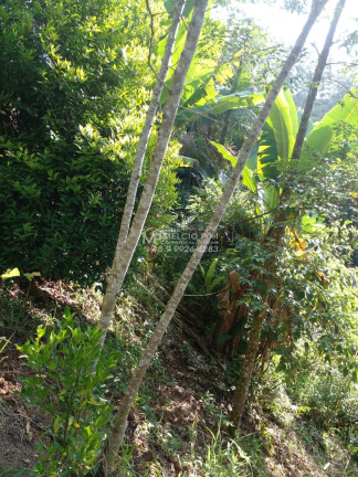 Imagem Imóvel à Venda,  em Zantão - Brusque