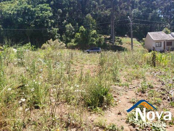 Imagem Imóvel à Venda, 360 m² em Piá - Nova Petrópolis Imagem Imóvel à Venda, 360 m² em Piá - Nova Petrópolis