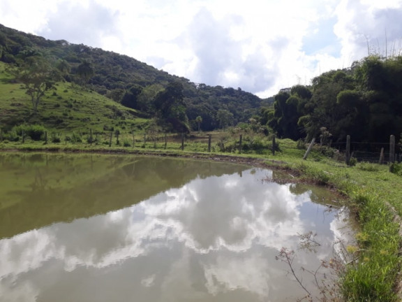 Imagem Chácara com 5 Quartos à Venda, 300 m² em Oliveira - Tijucas