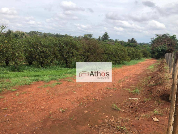 Imagem Chácara com 3 Quartos à Venda, 12.300 m² em Cidade Jardim - Pirassununga Imagem Chácara com 3 Quartos à Venda, 12.300 m² em Cidade Jardim - Pirassununga
