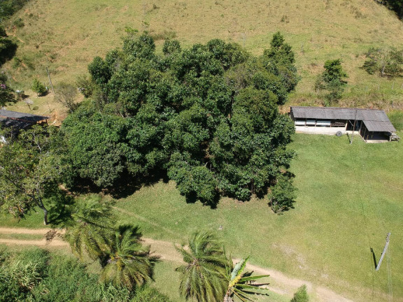 Imagem Chácara à Venda, 16 m² em Ipiabas - Barra Do Piraí Imagem Chácara à Venda, 16 m² em Ipiabas - Barra Do Piraí