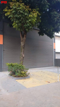 Imagem Imóvel Comercial para Alugar, 45 m² em Nova Piraju - São Paulo Imagem Imóvel Comercial para Alugar, 45 m² em Nova Piraju - São Paulo