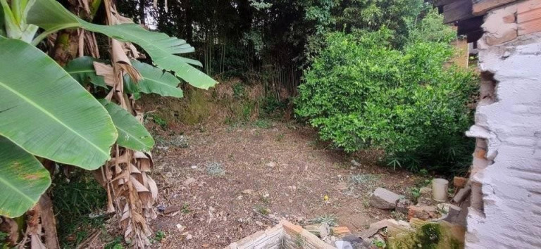 Imagem Casa com 3 Quartos à Venda, 300 m² em Cecília - Viamão