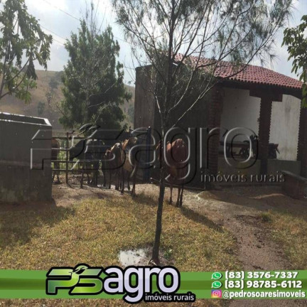 Imagem Fazenda à Venda, 100.000 m² em Bananeiras Imagem Fazenda à Venda, 100.000 m² em Bananeiras