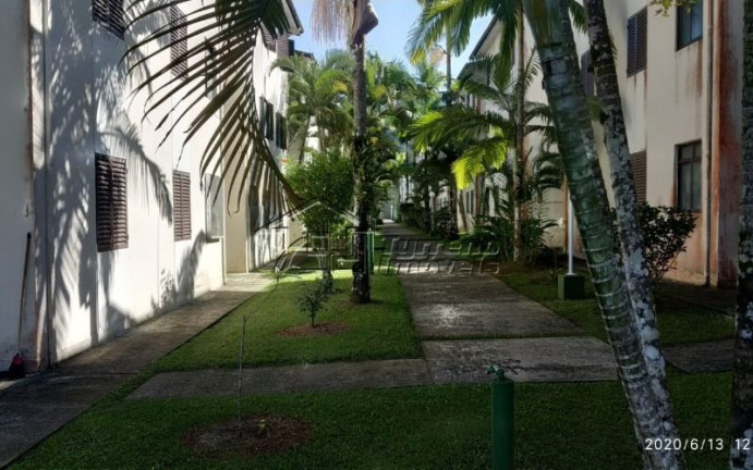 Imagem Apartamento com 2 Quartos à Venda, 50 m² em Itaguá - Ubatuba Imagem Apartamento com 2 Quartos à Venda, 50 m² em Itaguá - Ubatuba