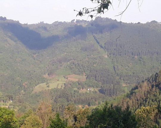Imovel