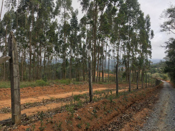 Imagem Chácara à Venda, 24.200 m² em Piedade Imagem Chácara à Venda, 24.200 m² em Piedade