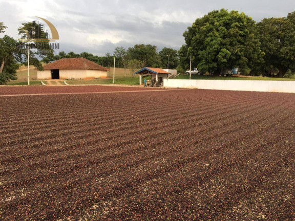 Imagem Fazenda à Venda, 968.000 m² em São Luis - Jacutinga