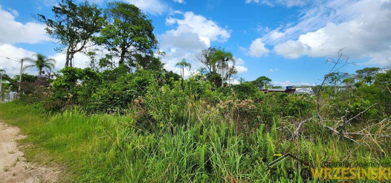 Imagem Terreno à Venda, 442 m² em Praia Do Erwino - São Francisco Do Sul Imagem Terreno à Venda, 442 m² em Praia Do Erwino - São Francisco Do Sul