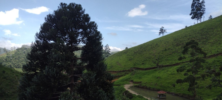 Imagem Chácara com 1 Quarto à Venda, 100 m² em Zona Rural - São Luíz Do Paraitinga Imagem Chácara com 1 Quarto à Venda, 100 m² em Zona Rural - São Luíz Do Paraitinga