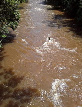 Imagem Imóvel com 7 Quartos à Venda,  em Campinápolis/mt - Campinápolis