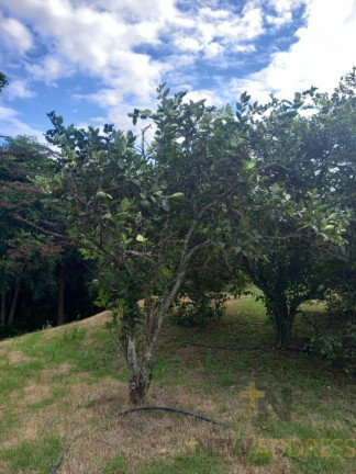 Imagem Imóvel com 3 Quartos à Venda, 5.100 m² em Balneário Ponta Da Fruta - Vila Velha Imagem Imóvel com 3 Quartos à Venda, 5.100 m² em Balneário Ponta Da Fruta - Vila Velha